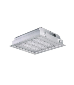 DL251 LED