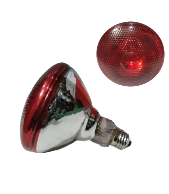 IR-150W (Infrared Lamp) CALTECH