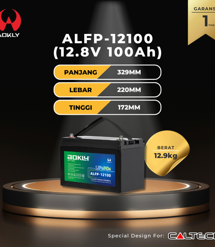 ALFP-12100 (12.8V 100Ah)