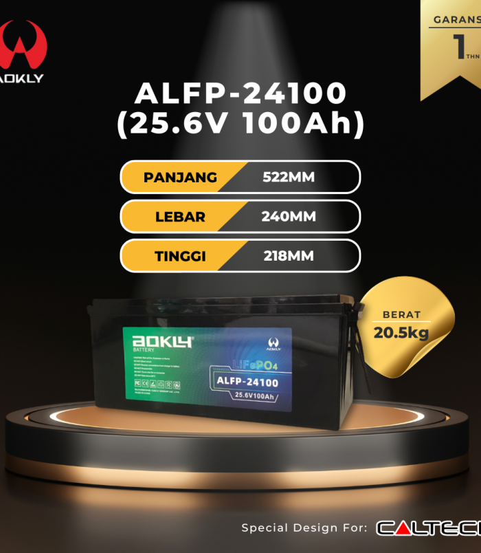 ALFP-24100 (25.6V 100Ah)