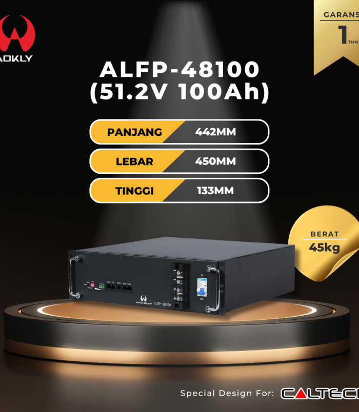 ALFP-48100 (51.2V 100Ah)